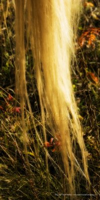 10-10-08H-078a.JPG