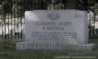 10-05-27-0407a.jpg
