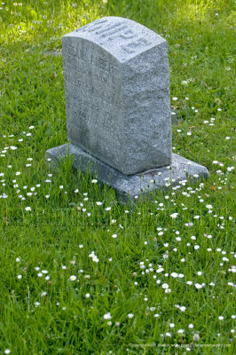 10-05-27-0426a.jpg