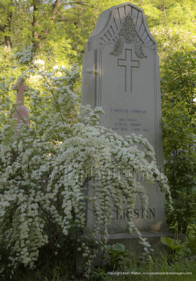 Cemeteries on Mount Royal