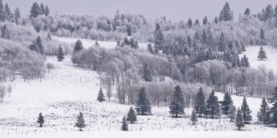 10-12-19-024a.jpg