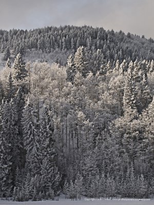 10-12-19-059a.jpg