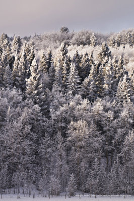 10-12-19-061a.jpg