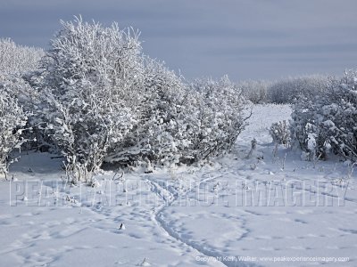10-12-19H-006a.jpg