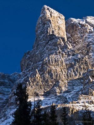 10-12-31-079a.jpg