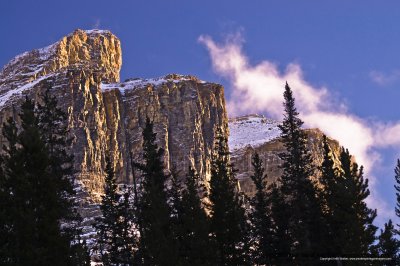 10-12-31-088a.jpg