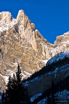 10-12-31-107a.jpg