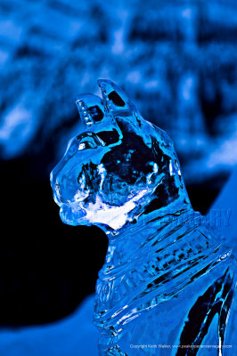 g1/72/580772/3/132134594.2eCZ41yb.jpg