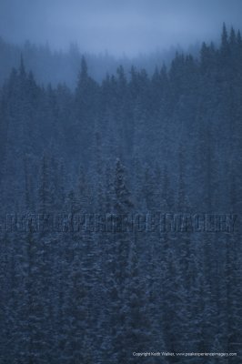 11-02-04-017a.jpg