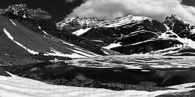 Lake O'hara Landscape VI - 48x24.jpg