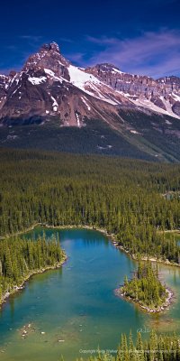 Lake O'hara Landscape VIII - 24x48.jpg