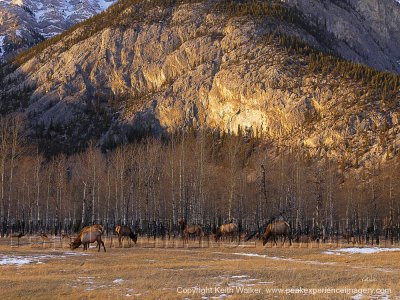 Mountainscape III - 48x36.jpg