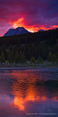 Mountainscape XXIX - 24x48.jpg