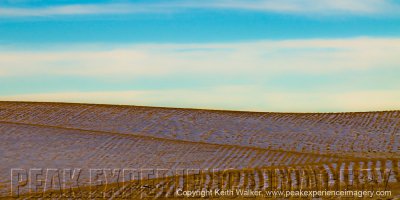 Prairie Landscape IV - 36x27.jpg