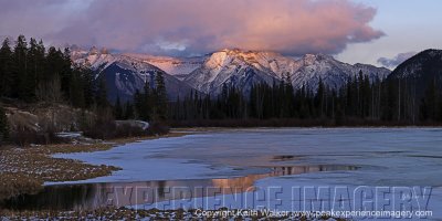 Waterscape II - 48x24.jpg
