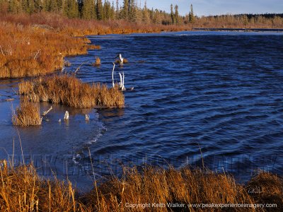 Waterscape III - 36x27.jpg
