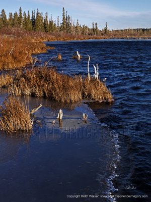 Waterscape IV - 27x36.jpg