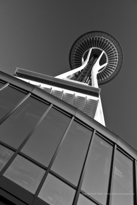12-08-16-0664a.JPG