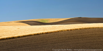 The Palouse Country - Eastern Washington State