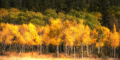 12-09-25-007a.JPG