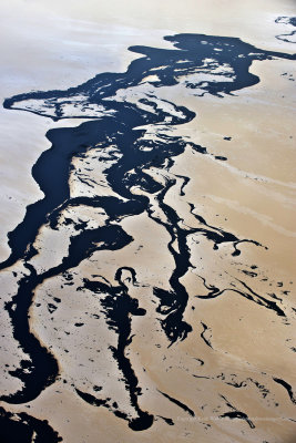 12-10-10-0558a.JPG