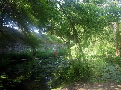 Botanical Gardens