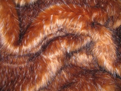 BrownFox002.jpg