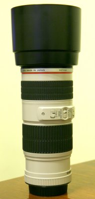 Whole lens with caps & hood on