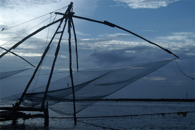 DSC_9531.jpg