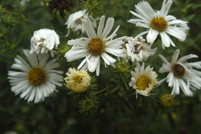 10219_DSC.JPG