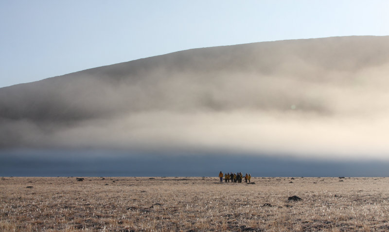 Tundra Walk