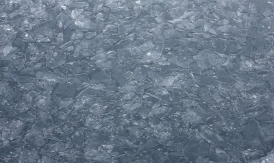 Fresh Sea Ice
