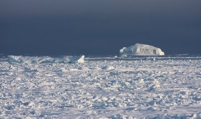 Icebergs in Kane Basin