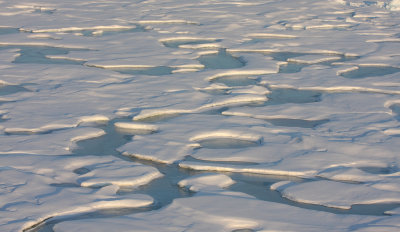 Sea Ice Ponds