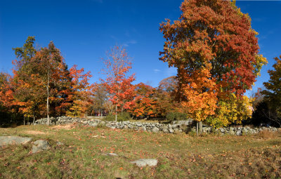 g1/72/660072/3/105193500.D3mZR8uU.jpg