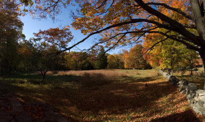 g1/72/660072/3/105193505.QtbDXDGJ.jpg