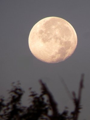 Lune 2008, Massif-du-Sud