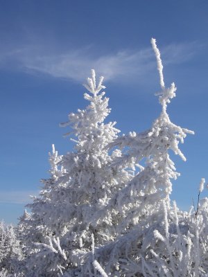 Neige et nuages, Massif-du-Sud