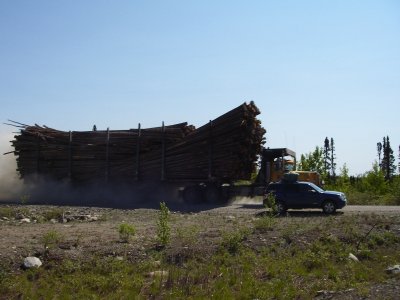 Camions, Nestaocano