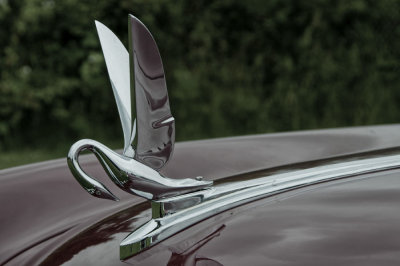 42 - 50 Packard