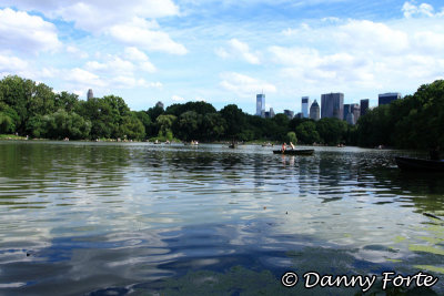 View of Manhattan from Central Park
