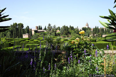 View of The Alhambra from The Generalife