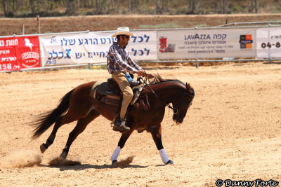 Western Riding State Championship, Israel 2010