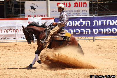 Western Riding State Championship, Israel 2010