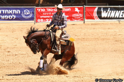 Western Riding State Championship, Israel 2010