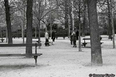 Jardin de Luxembourg