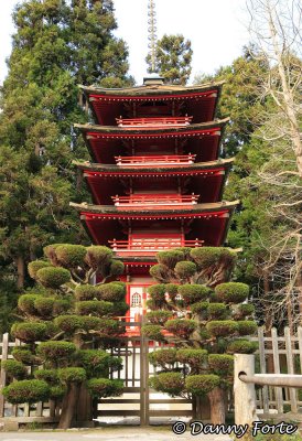 Japanese Tea Garden