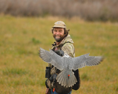 Paul Debruyn and his White Gyrfalcon