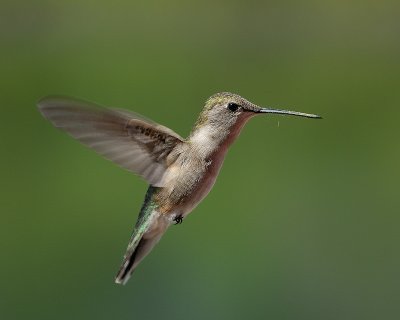 g1/72/728372/3/126273204.0EonY14l.jpg