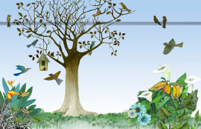 14.Bird.tree.jpg